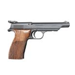 Norinco TT-Olympia Semi-Automatic Target Pistol, Modern handgun