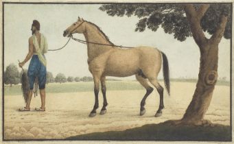 A stallion and its Sikh groom Delhi, or possibly Punjab, circa 1850