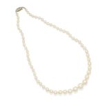 A SILVER AND CULTURED PEARL NECKLACE