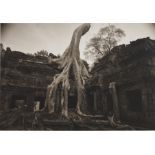 Kenro Izu (born 1949); Angkor #26, Ta Prohm, Cambodia;