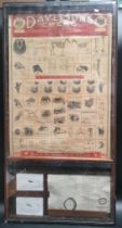 A Day & sons Crewe antique veterinary chart in fitted display case