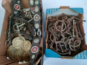 A collection of antique horse brasses & horse bits