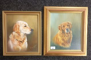 Morag Arthur Two Artworks; Oil on canvas both ''Golden Retriever Dogs'', one titled ''Emma'', both