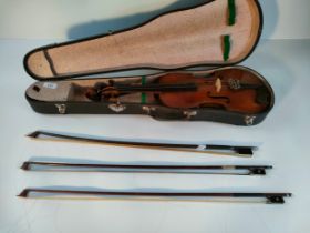 An antique violin in a fitted case along with 3 antique bows [59cm]