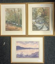 Three Artworks; Sybil Swan A pair of watercolours titled ''Birks of Aberfeldy'' and Autumn in the