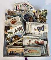 A collection of players cigarette cards bird & wild life