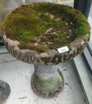 Vintage weathered/mossy stone bird bath. [68x40cm]