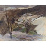 Sheila MacMillan Oil on Canvas 'Last of the Snow' [77] [48x59cm]