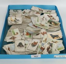 A box of players cigarette cards; wild life & horse racing