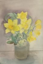Claire Methven Watercolour '' Still Life of Daffodils'', signed. [54x34cm]