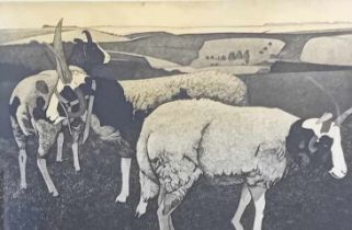 Alfons Bytautus (RSA) Original etching ''Jacob Sheep'', signed. 33/35 [Frame 55x65cm]