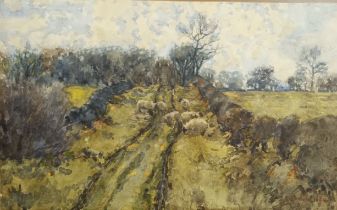 F.McAllister Watercolour ''Sheep grazing'', signed and dated 1926 [Frame 51x68cm]