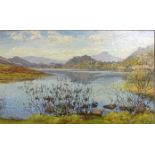 E.G.M Oil on canvas landscape, signed. [59x89cm
