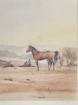 D.H Limited edition print ''Arab Horse'', signed. Copy 309/500 [74x63cm]