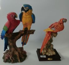 Two large Parrot study's with boxes