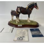 Limited edition Border Fine Arts Champions Mare & Foal figure on fitted plinth with certificates [