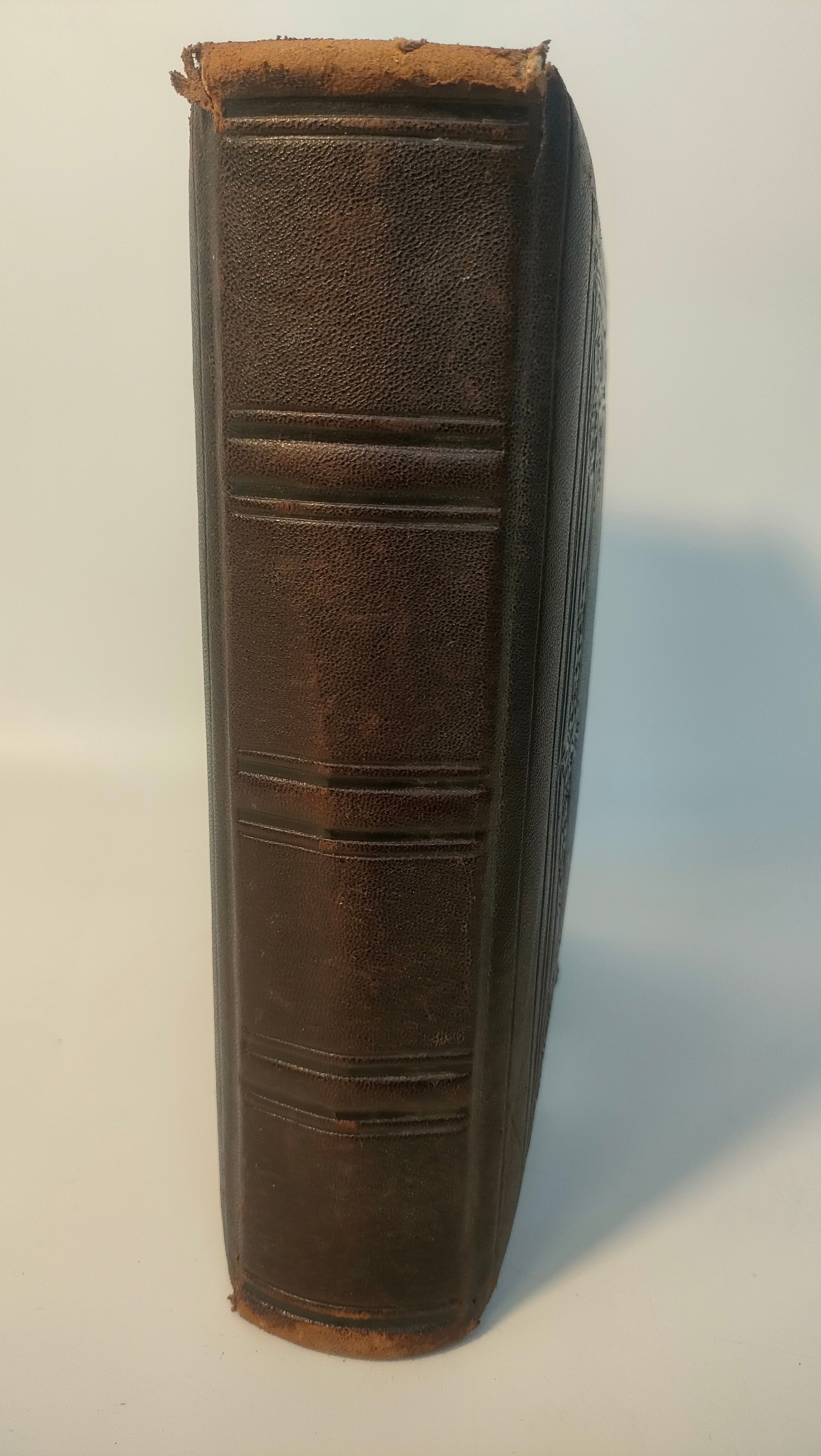 Victorian leather bound photo album dating from 1865 - Image 17 of 17