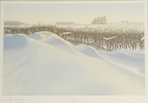 Richard Waddle Limited edition print titled 'Winter Hawthorn', copy 89/100, signed. [Frame 52x65cm]