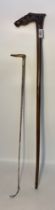 19th century horse Head topped walking cane with riding crop