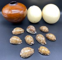 Selection of collectables; ostrich eggs, interior display sea shells & wooden interior vase