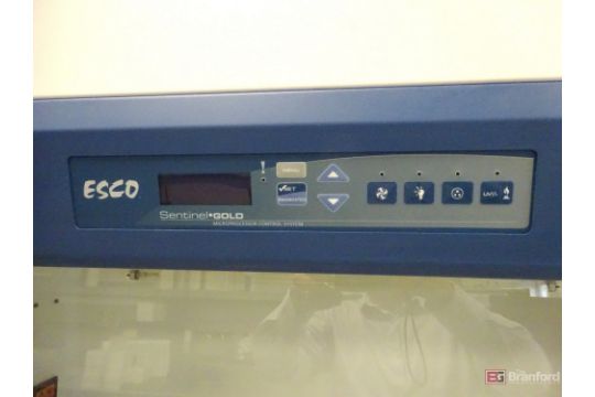 ESCO Biological Class II BSC Airstream Duo Safety Cabinets - Image 4 of 5