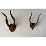 Lot de 2x Trophée Massacre Antilope