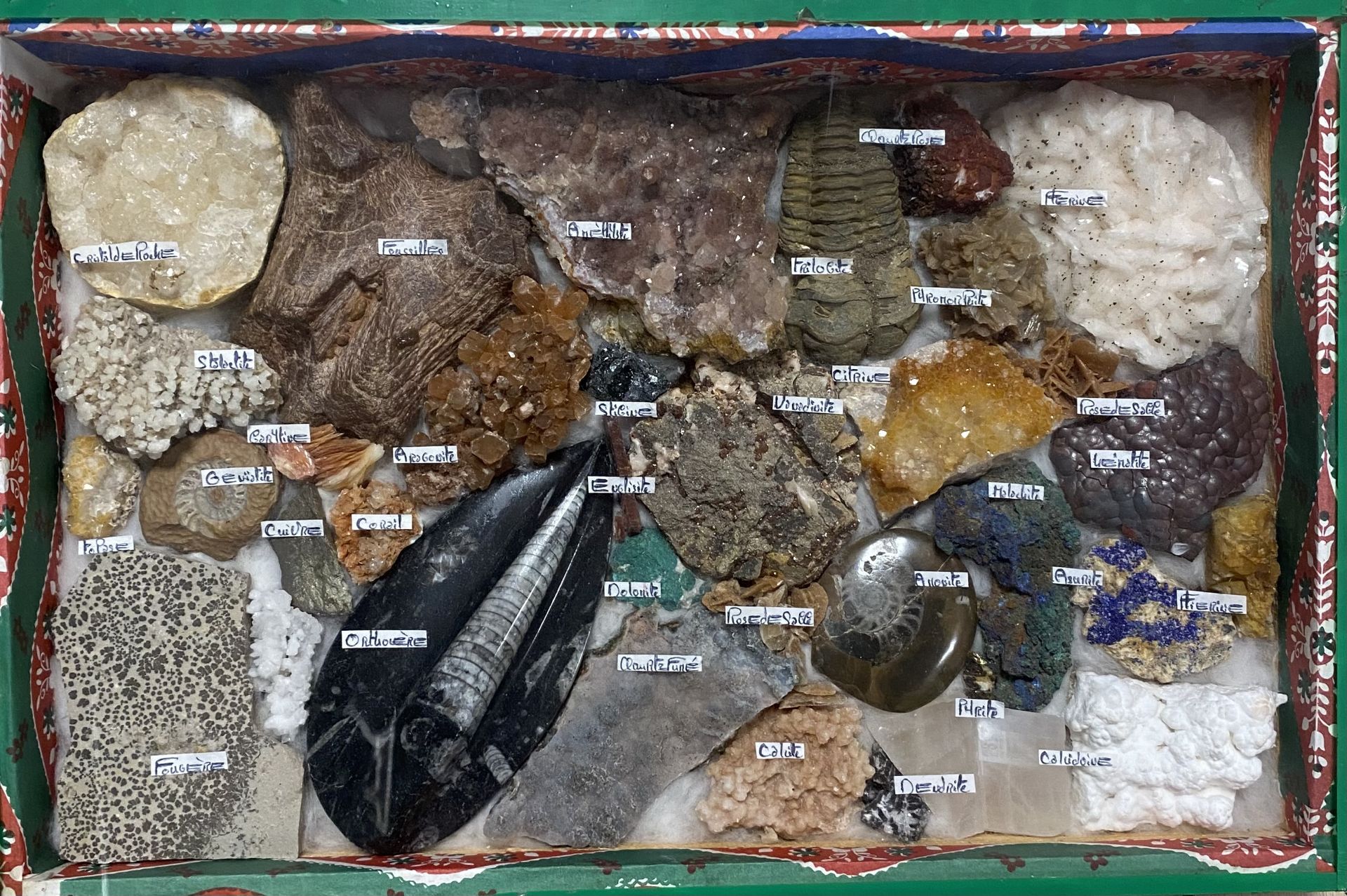 Boite collection de fossiles - Image 2 of 2