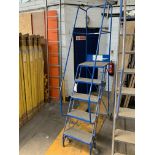 Set of 5 Step Library Ladders