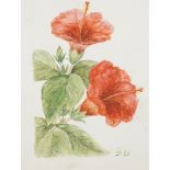 Monogrammist CS, Hibiskus