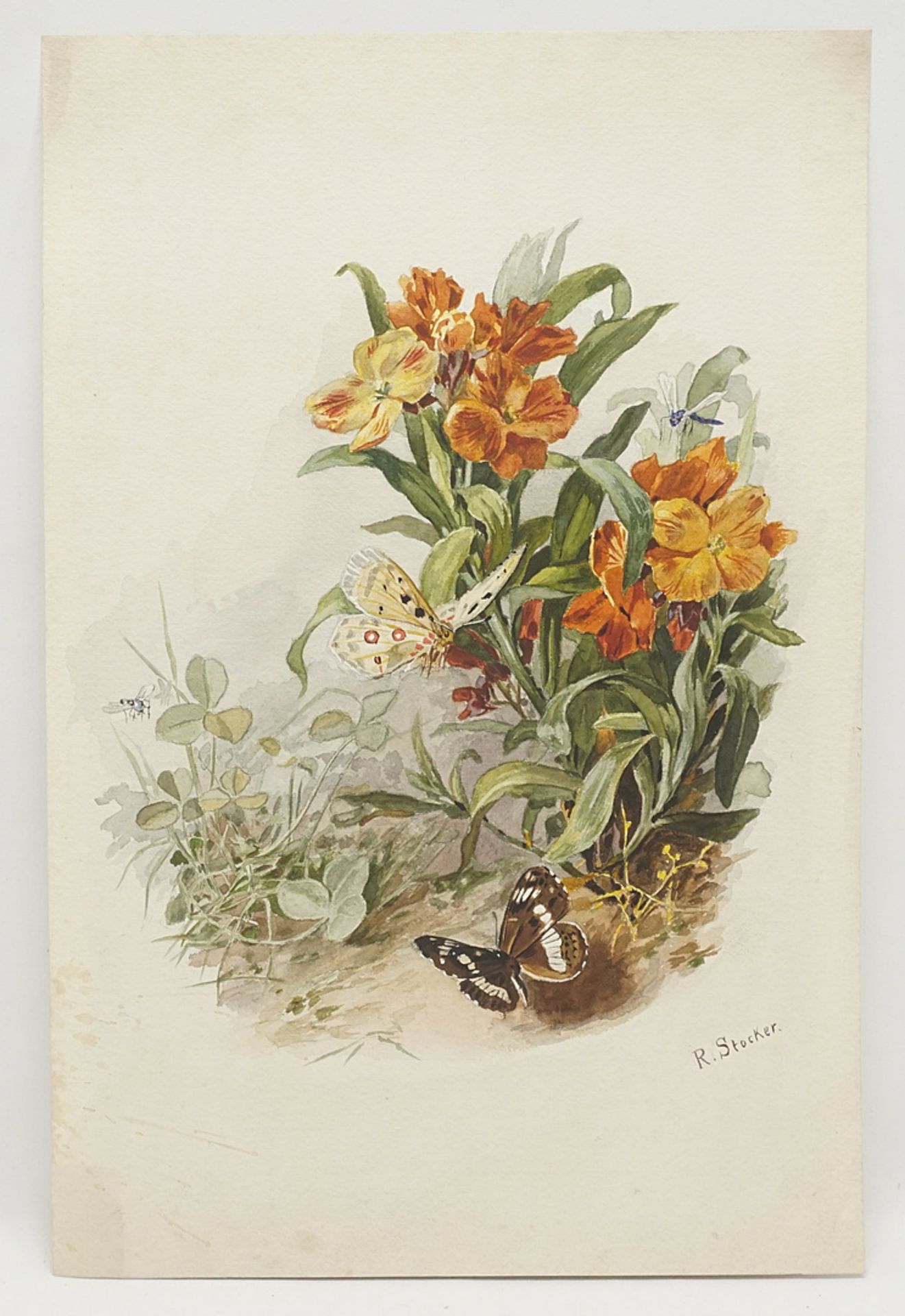 R. Stocker, Flowers and Butterflies - Image 2 of 3