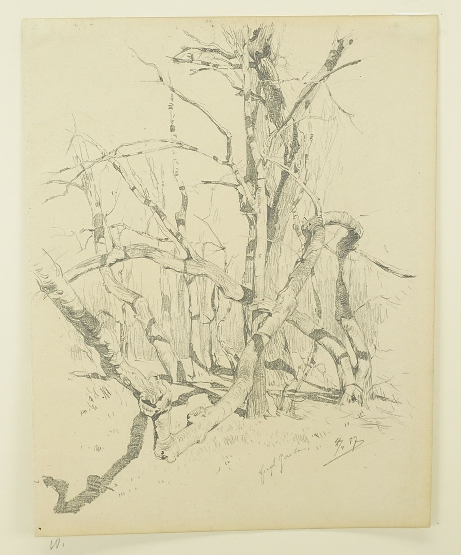 Georg Lührig (1868-1957), English Garden - Image 3 of 5