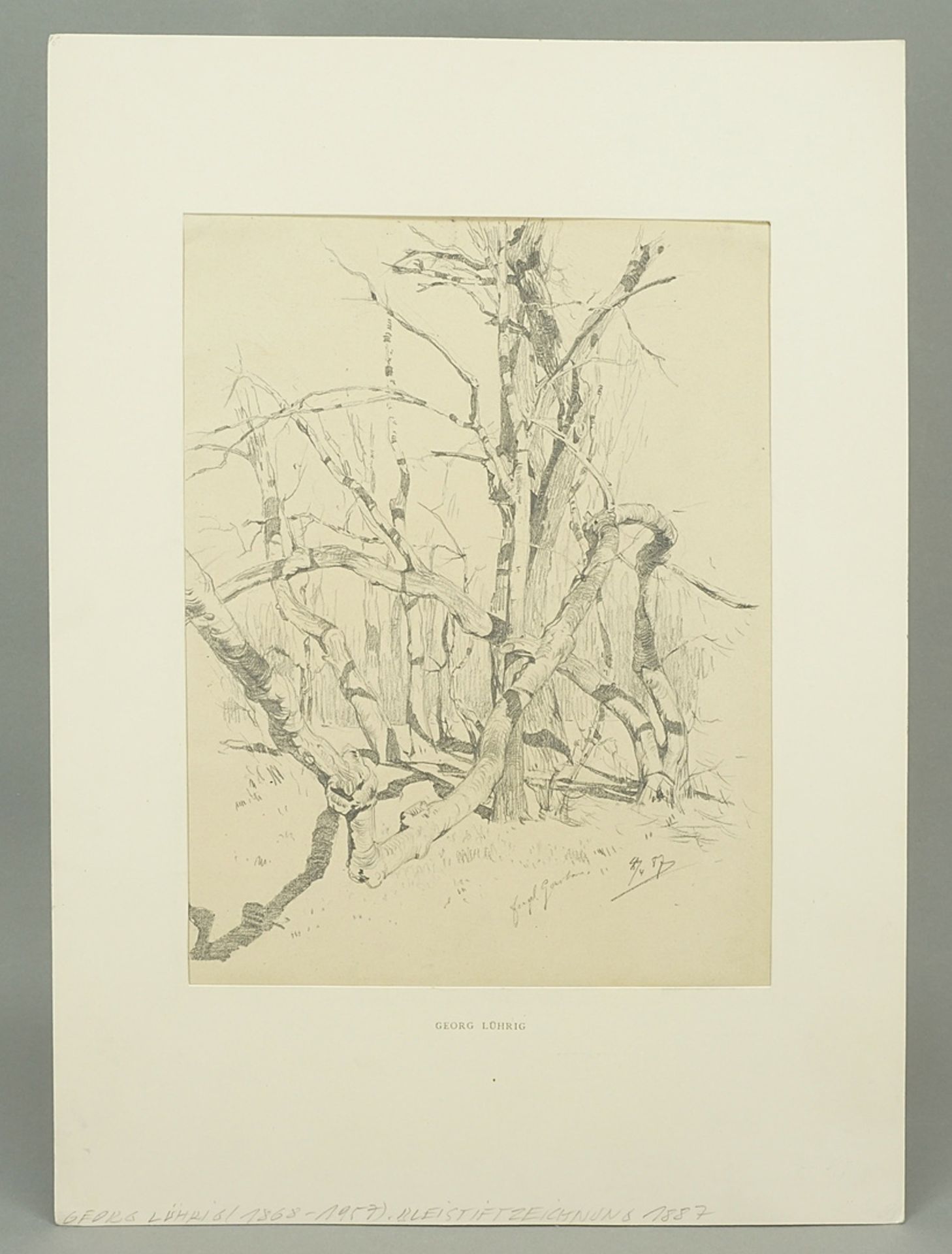 Georg Lührig (1868-1957), English Garden - Image 2 of 5