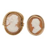 Two shell cameos with side portraits