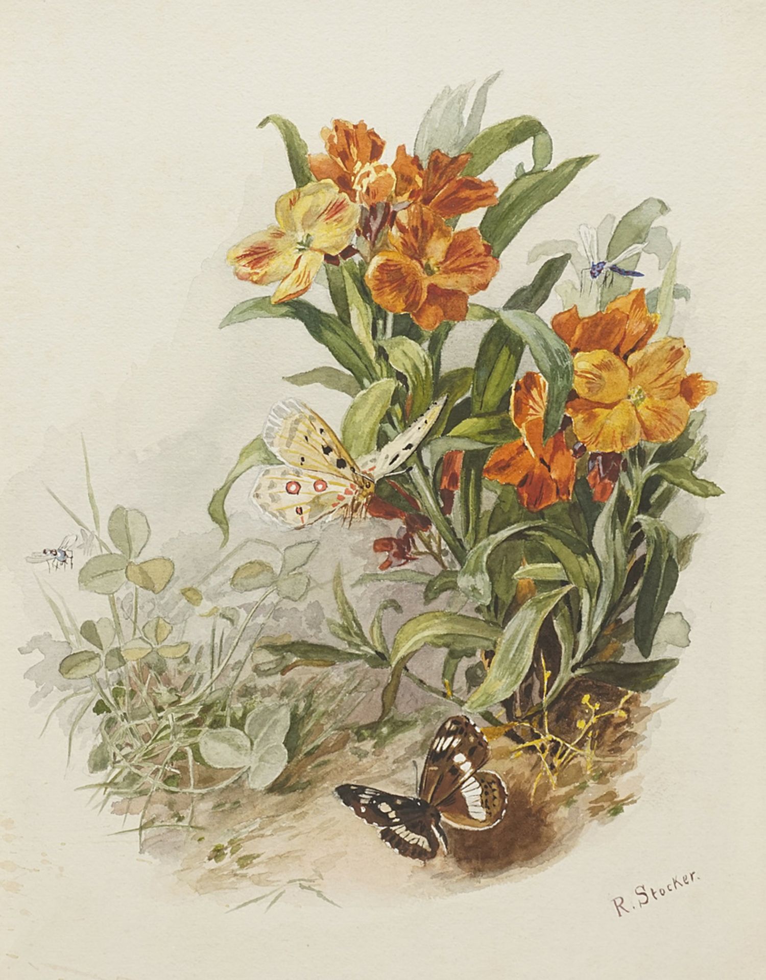 R. Stocker, Flowers and Butterflies