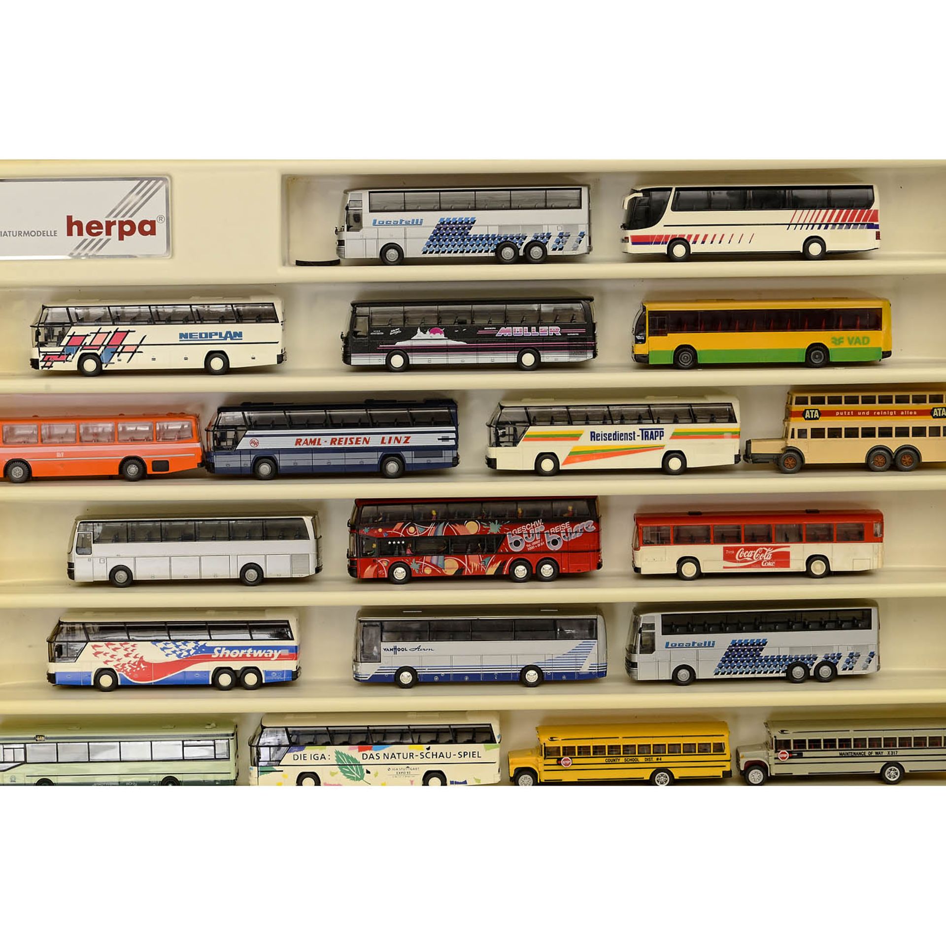 Large Collection of 1:87 Scale Model Buses - Image 4 of 9