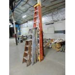 Lot of Step Ladders*