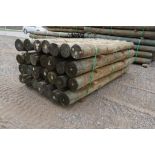 Southern Yellow Pine Fence Posts