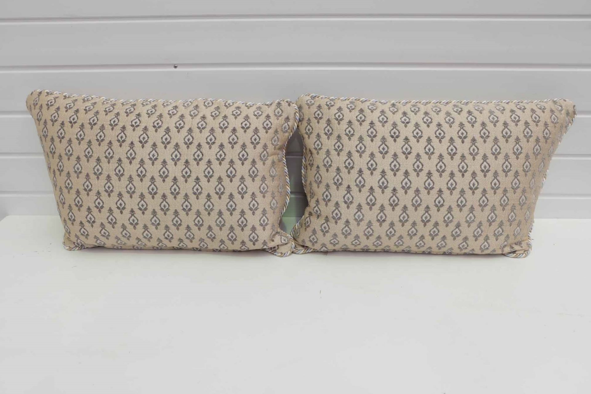Set of 2 Matching Scatter Cushions.