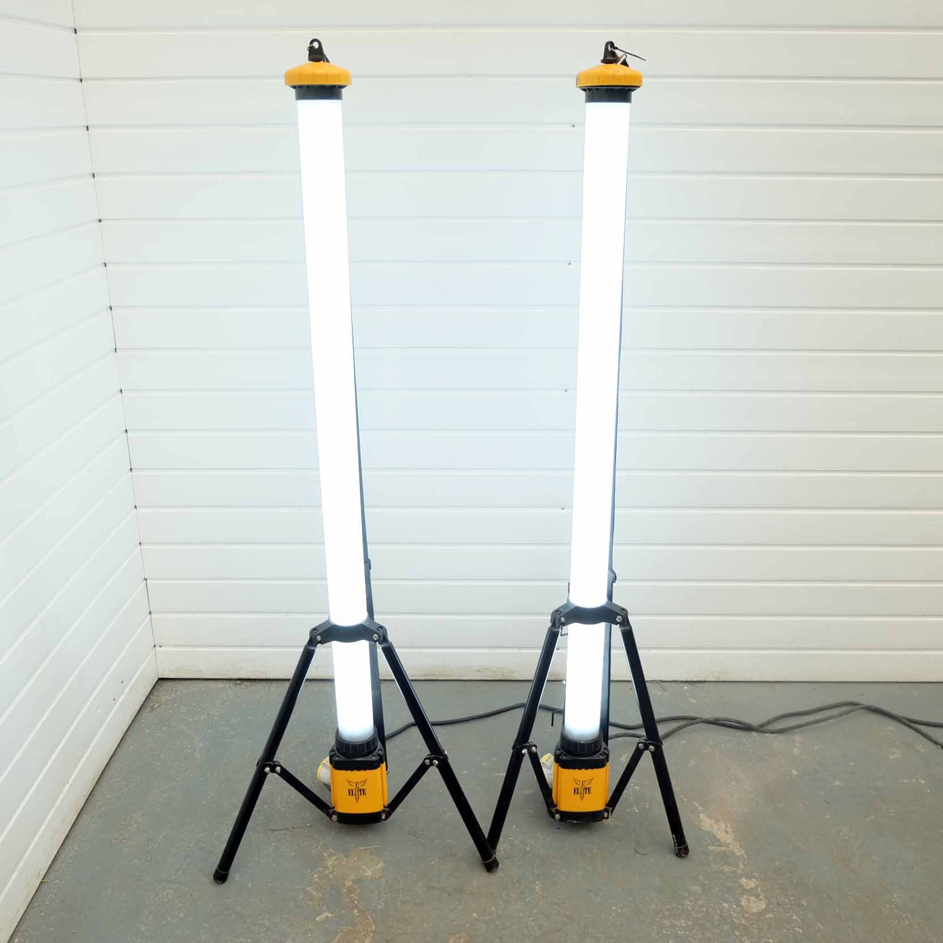 2 x Elite Lights on Tripod Stands. 110V.