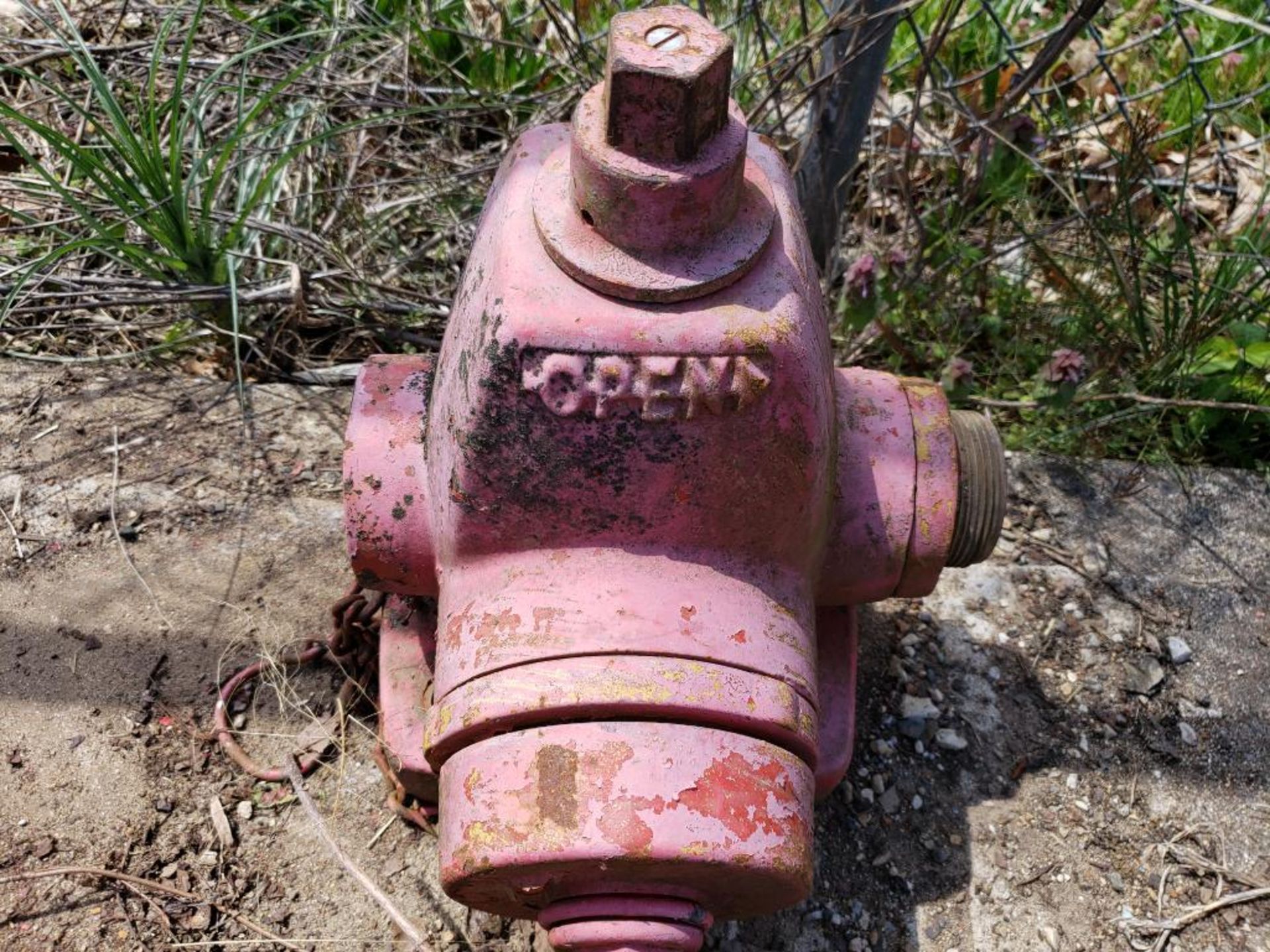 Qty 3 - Assorted fire hydrants. - Image 4 of 6