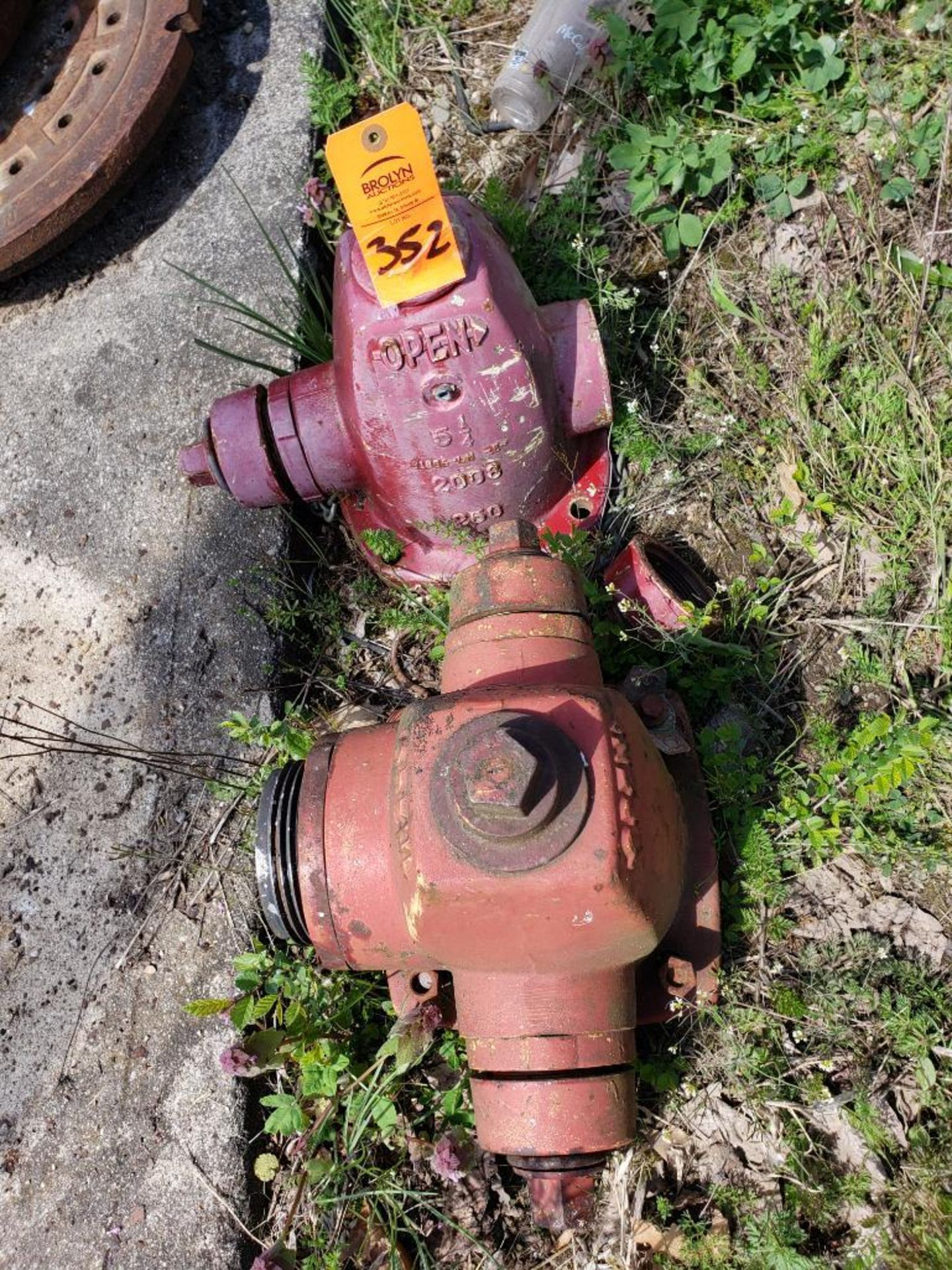 Qty 2 - Assorted fire hydrants.