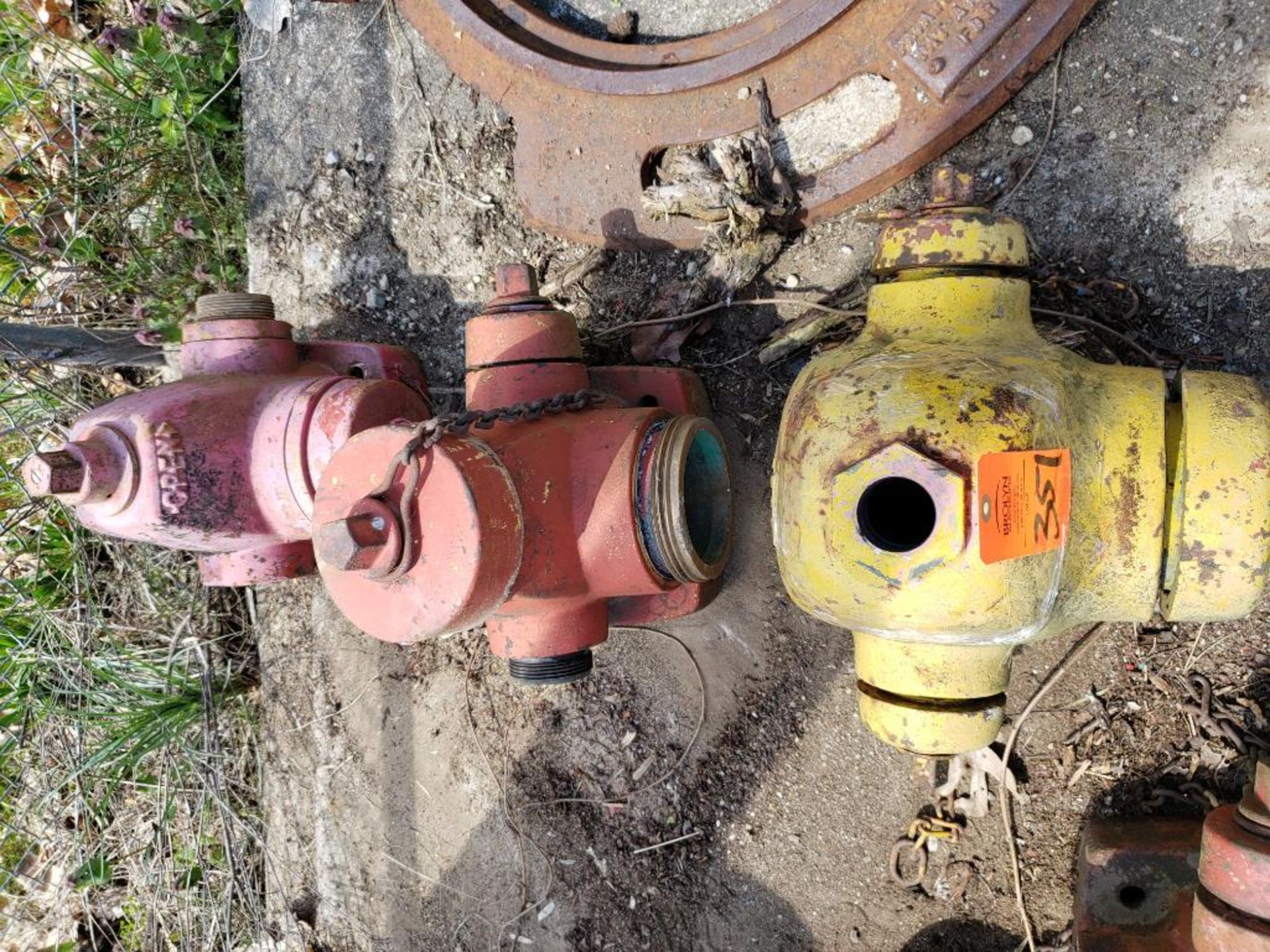 Qty 3 - Assorted fire hydrants.