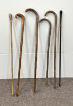 Six assorted walking sticks and canes, including an example with finely carved cane and hooked