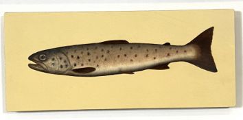 DONALD PROVAN, Scottish (1964-), Brown Trout, oil on metal, signed and inscribed verso, Donald