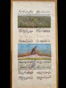 An Islamic Ornithological Illuminated Manuscript Page, probably 19th century, hand painted with