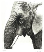 HENRY MOORE, OM.CH, British (1898-1986), “Elephant’s Head I”, circa 1981, lithograph, Cramer 606,