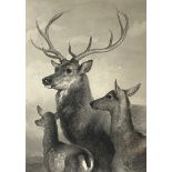 After SIR EDWIN LANDSEER, Scottish (1802-1873), Stag, Hind and Calf, signed engraving, published