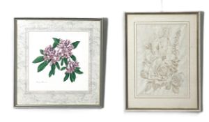 Seven assorted Botanical pictures, including Lilies, crayon, by Kate Nicoll, 1973, and others