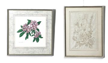 Seven assorted Botanical pictures, including Lilies, crayon, by Kate Nicoll, 1973, and others