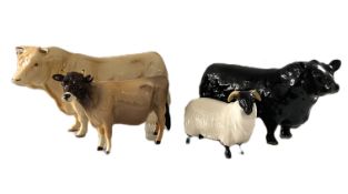Beswick, A Jersey Cow, number 1345, Ch. Newton Tinkle Model; also a Beswick Charolais Bull, model